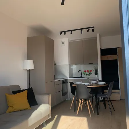 Apartment Stylish In The Center